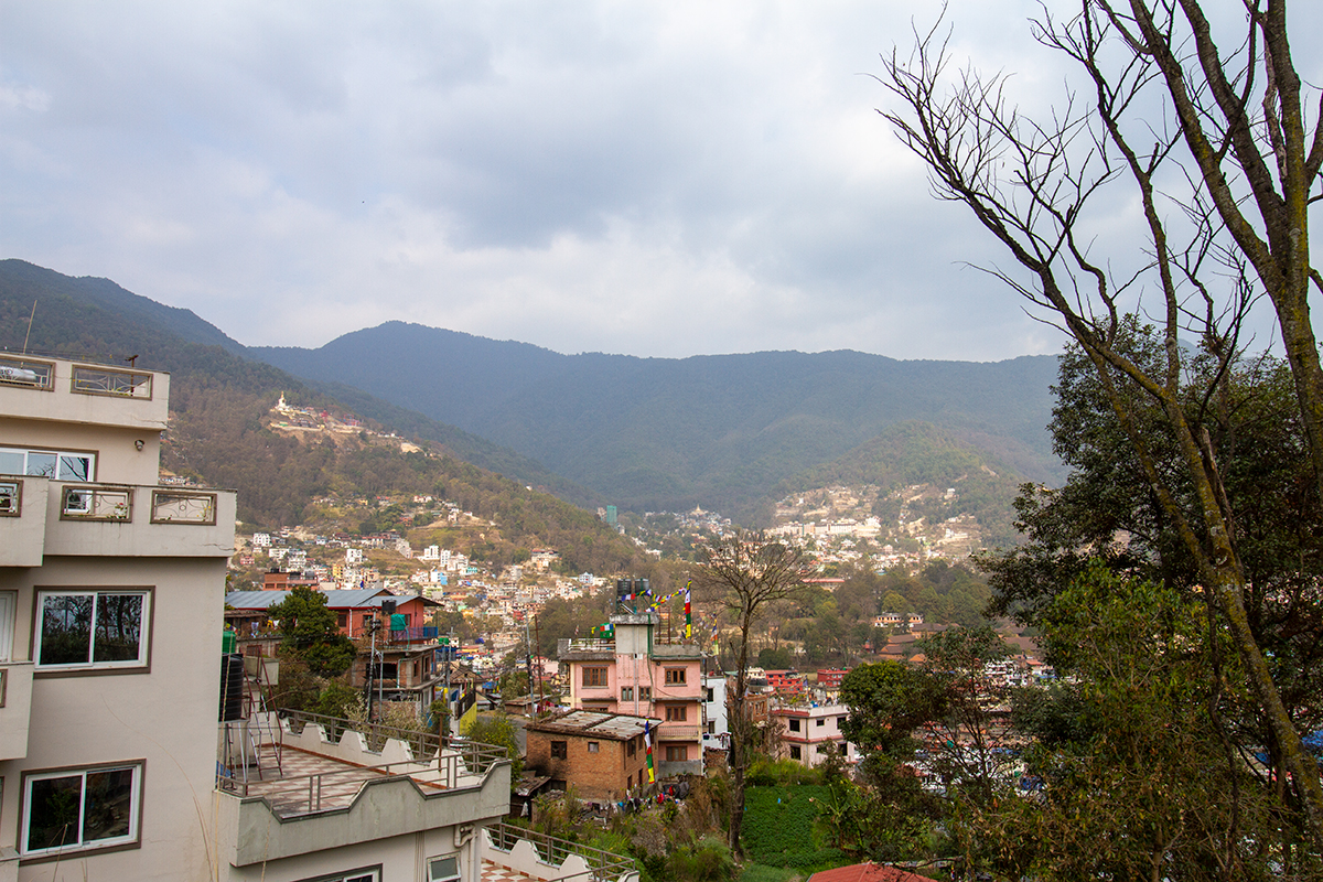 gau-ghar-tea-coffee-yentra-5.jpg