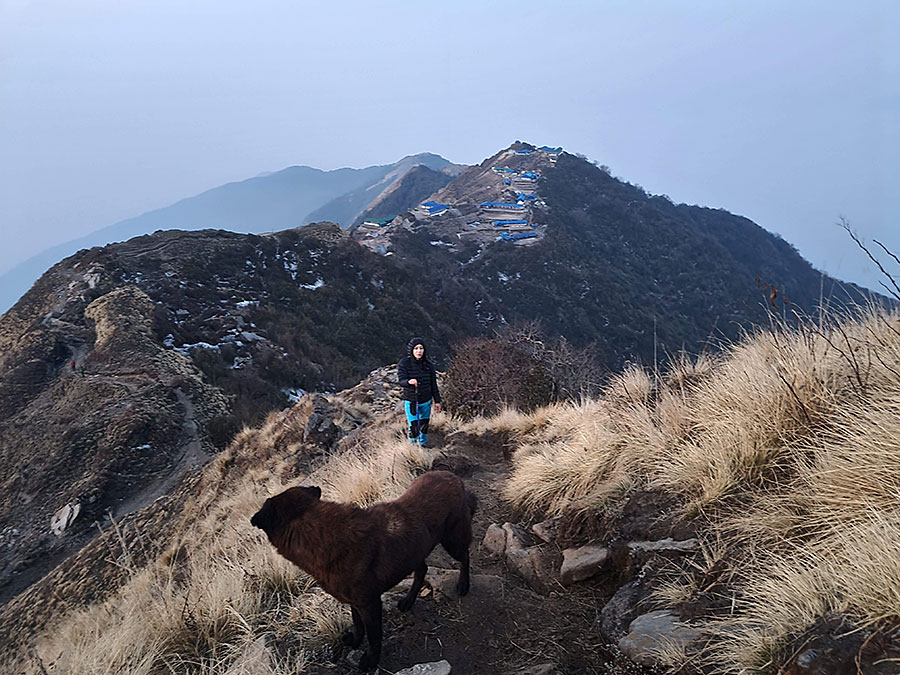 trekking-to-mardi-himal-view.jpg