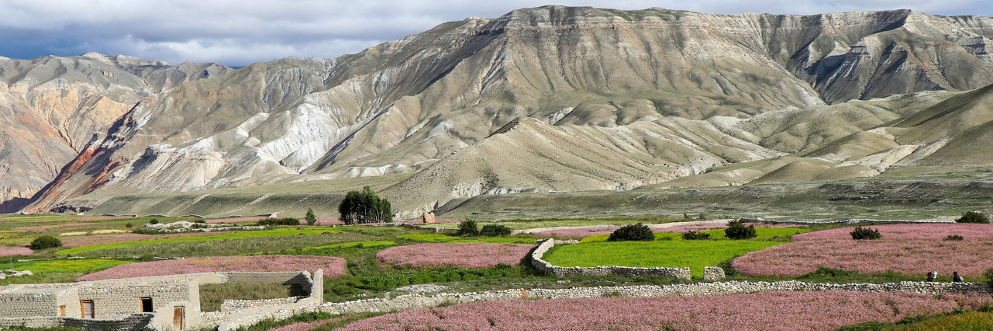 Upper Mustang in Monsoon .png